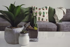 décorer son intérieur avec des plantes